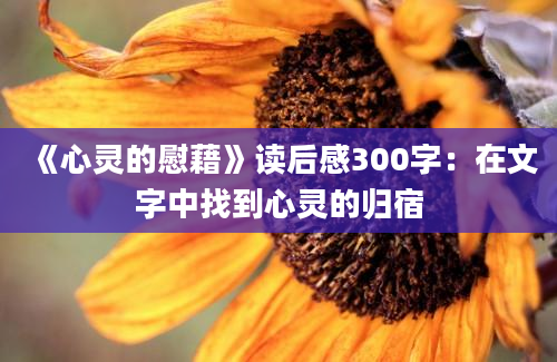 《心灵的慰藉》读后感300字：在文字中找到心灵的归宿