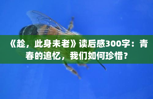 《趁，此身未老》读后感300字：青春的追忆，我们如何珍惜？