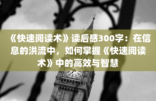 《快速阅读术》读后感300字：在信息的洪流中，如何掌握《快速阅读术》中的高效与智慧