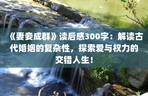 《妻妾成群》读后感300字：解读古代婚姻的复杂性，探索爱与权力的交错人生！