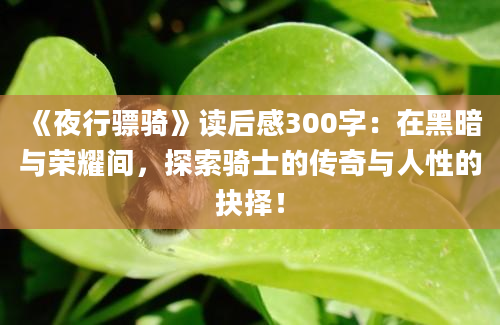 《夜行骠骑》读后感300字：在黑暗与荣耀间，探索骑士的传奇与人性的抉择！