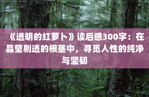 《透明的红萝卜》读后感300字：在晶莹剔透的根茎中，寻觅人性的纯净与坚韧