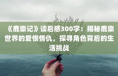 《鹿鼎记》读后感300字：揭秘鹿鼎世界的爱恨情仇，探寻角色背后的生活挑战