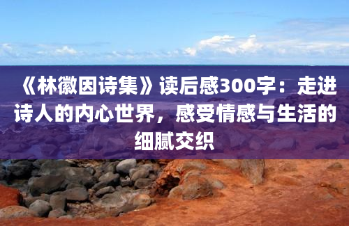 《林徽因诗集》读后感300字：走进诗人的内心世界，感受情感与生活的细腻交织