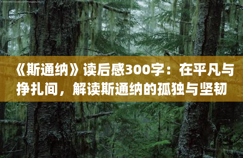 《斯通纳》读后感300字：在平凡与挣扎间，解读斯通纳的孤独与坚韧