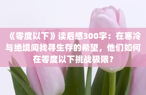 《零度以下》读后感300字：在寒冷与绝境间找寻生存的希望，他们如何在零度以下挑战极限？