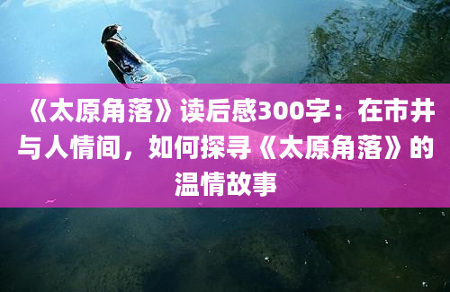 《太原角落》读后感300字：在市井与人情间，如何探寻《太原角落》的温情故事