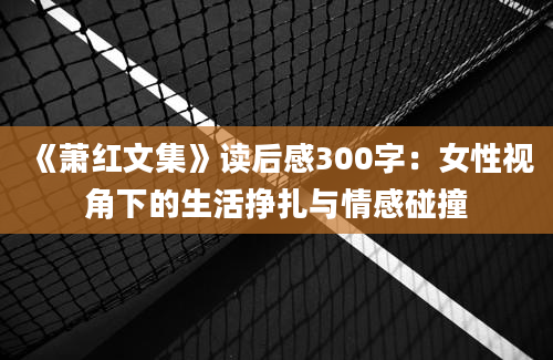 《萧红文集》读后感300字：女性视角下的生活挣扎与情感碰撞