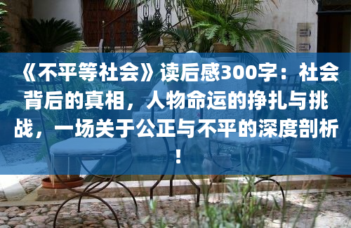 《不平等社会》读后感300字：社会背后的真相，人物命运的挣扎与挑战，一场关于公正与不平的深度剖析！