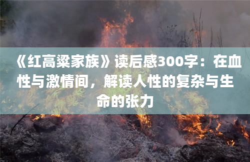 《红高粱家族》读后感300字：在血性与激情间，解读人性的复杂与生命的张力