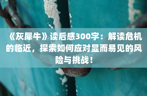 《灰犀牛》读后感300字：解读危机的临近，探索如何应对显而易见的风险与挑战！