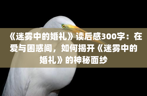 《迷雾中的婚礼》读后感300字：在爱与困惑间，如何揭开《迷雾中的婚礼》的神秘面纱