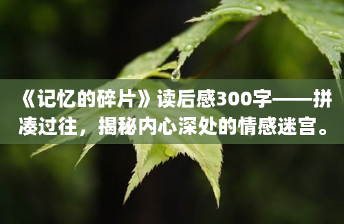 《记忆的碎片》读后感300字——拼凑过往，揭秘内心深处的情感迷宫。