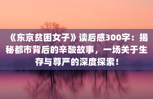 《东京贫困女子》读后感300字：揭秘都市背后的辛酸故事，一场关于生存与尊严的深度探索！