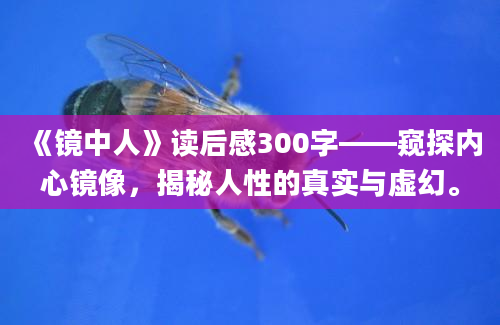 《镜中人》读后感300字——窥探内心镜像，揭秘人性的真实与虚幻。