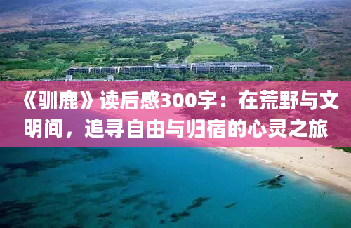 《驯鹿》读后感300字：在荒野与文明间，追寻自由与归宿的心灵之旅