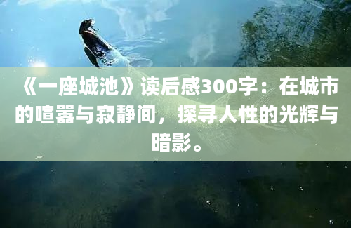 《一座城池》读后感300字：在城市的喧嚣与寂静间，探寻人性的光辉与暗影。