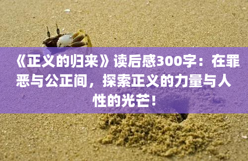 《正义的归来》读后感300字：在罪恶与公正间，探索正义的力量与人性的光芒！