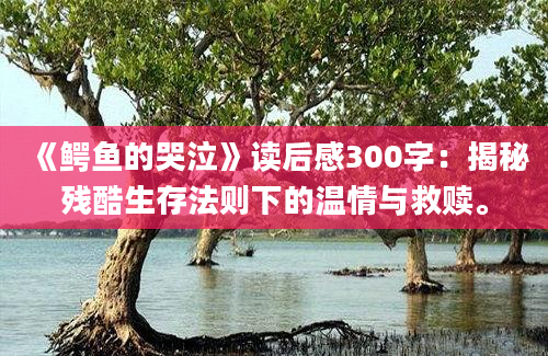 《鳄鱼的哭泣》读后感300字：揭秘残酷生存法则下的温情与救赎。