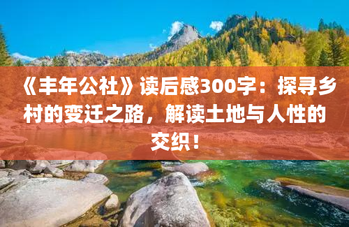 《丰年公社》读后感300字：探寻乡村的变迁之路，解读土地与人性的交织！