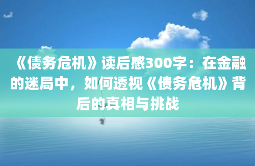 《债务危机》读后感300字：在金融的迷局中，如何透视《债务危机》背后的真相与挑战