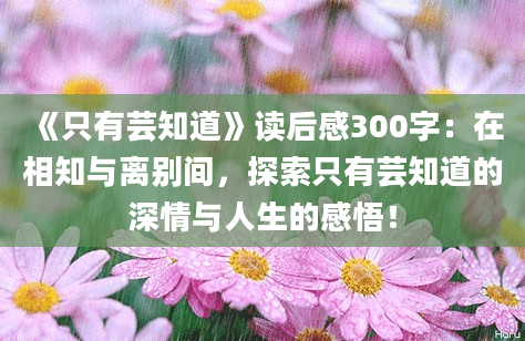 《只有芸知道》读后感300字：在相知与离别间，探索只有芸知道的深情与人生的感悟！