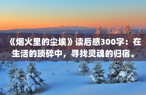 《烟火里的尘埃》读后感300字：在生活的琐碎中，寻找灵魂的归宿。