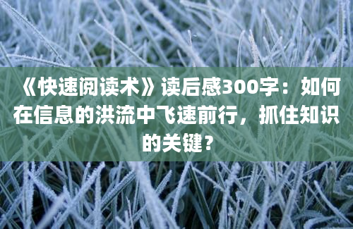 《快速阅读术》读后感300字：如何在信息的洪流中飞速前行，抓住知识的关键？