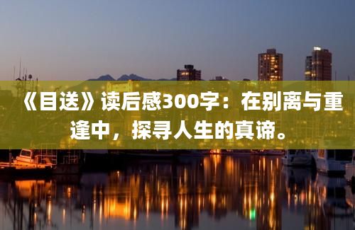 《目送》读后感300字：在别离与重逢中，探寻人生的真谛。