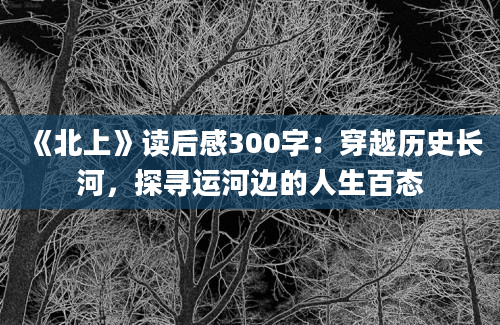 《北上》读后感300字：穿越历史长河，探寻运河边的人生百态