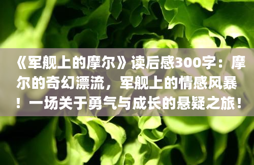 《军舰上的摩尔》读后感300字：摩尔的奇幻漂流，军舰上的情感风暴！一场关于勇气与成长的悬疑之旅！