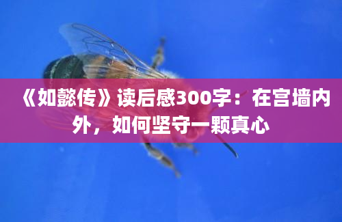 《如懿传》读后感300字：在宫墙内外，如何坚守一颗真心