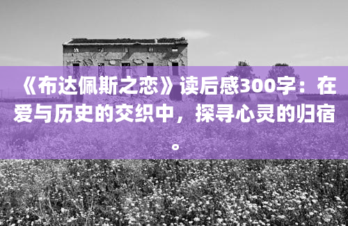 《布达佩斯之恋》读后感300字：在爱与历史的交织中，探寻心灵的归宿。