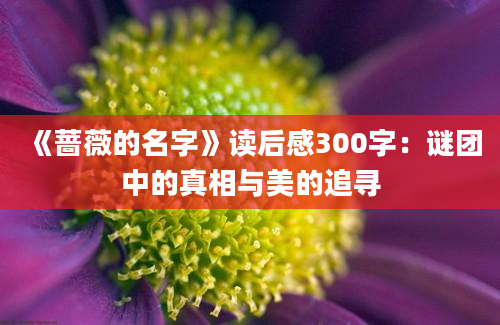 《蔷薇的名字》读后感300字：谜团中的真相与美的追寻