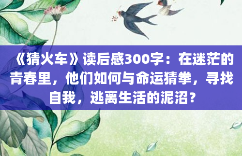 《猜火车》读后感300字：在迷茫的青春里，他们如何与命运猜拳，寻找自我，逃离生活的泥沼？