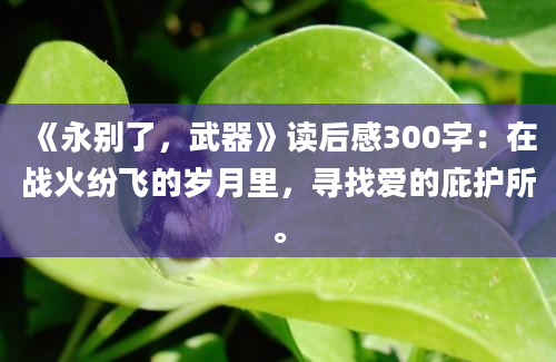 《永别了，武器》读后感300字：在战火纷飞的岁月里，寻找爱的庇护所。