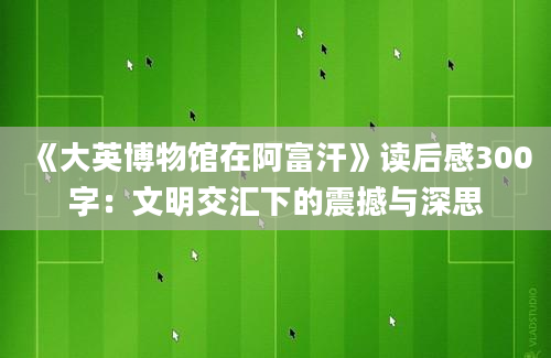 《大英博物馆在阿富汗》读后感300字：文明交汇下的震撼与深思