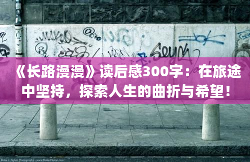 《长路漫漫》读后感300字：在旅途中坚持，探索人生的曲折与希望！