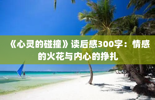 《心灵的碰撞》读后感300字：情感的火花与内心的挣扎