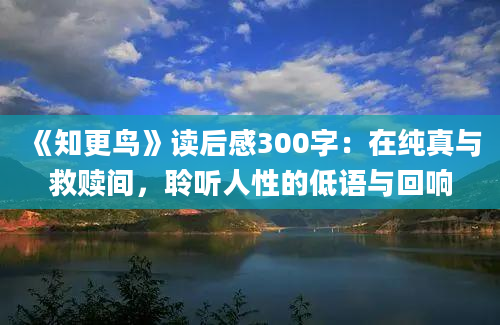 《知更鸟》读后感300字：在纯真与救赎间，聆听人性的低语与回响