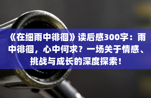 《在细雨中徘徊》读后感300字：雨中徘徊，心中何求？一场关于情感、挑战与成长的深度探索！