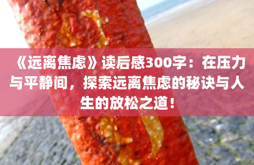 《远离焦虑》读后感300字：在压力与平静间，探索远离焦虑的秘诀与人生的放松之道！