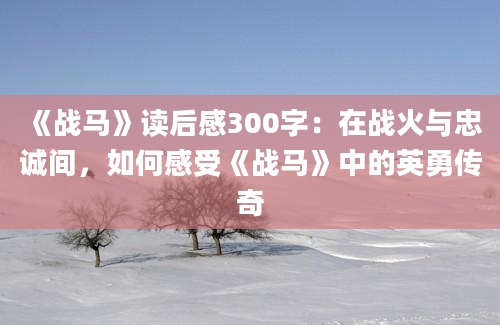 《战马》读后感300字：在战火与忠诚间，如何感受《战马》中的英勇传奇