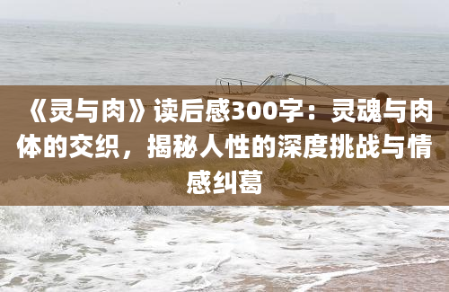 《灵与肉》读后感300字：灵魂与肉体的交织，揭秘人性的深度挑战与情感纠葛