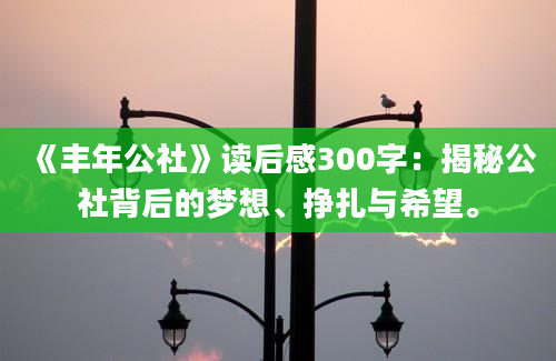 《丰年公社》读后感300字：揭秘公社背后的梦想、挣扎与希望。