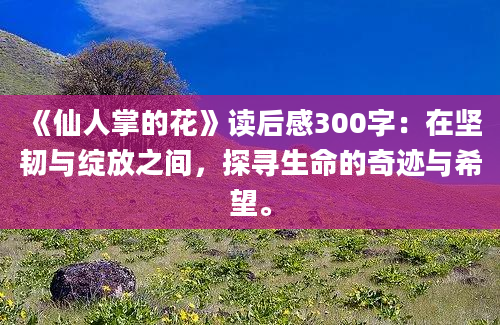 《仙人掌的花》<a href=https://www.baixuetang.com target=_blank class=infotextkey>读后感</a>300字：在坚韧与绽放之间，探寻生命的奇迹与希望。