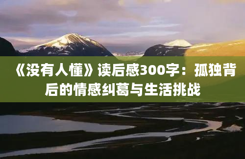 《没有人懂》读后感300字：孤独背后的情感纠葛与生活挑战