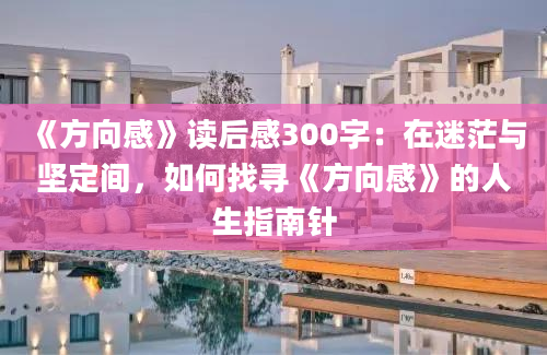 《方向感》读后感300字：在迷茫与坚定间，如何找寻《方向感》的人生指南针