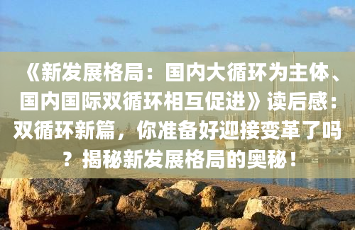 《新发展格局：国内大循环为主体、国内国际双循环相互促进》读后感：双循环新篇，你准备好迎接变革了吗？揭秘新发展格局的奥秘！