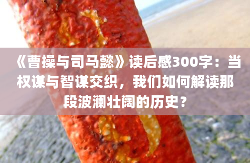 《曹操与司马懿》读后感300字：当权谋与智谋交织，我们如何解读那段波澜壮阔的历史？